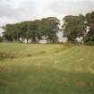 Broomhill, Newstead: rescue excavation archive
Frame 18: Field boundary from E-W, looking towards the gate at the W end.
.