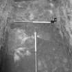 Excavation photograph : trample area, looking east.