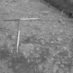 Edinburgh Castle, settlement. Excavation photograph showing area H - cobbling fully exposed with rod on S edge, close up.