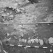 Edinburgh Castle, settlement. Excavation photograph: area H - stone line in foreground with 334/335 behind.