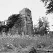 General view of the remains of St Dionysius' Church, Ayton.