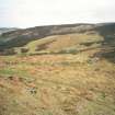 Caolas; general view of hut-circle