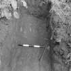 Excavation photograph : detail of human bone in trial trench 3, looking east.