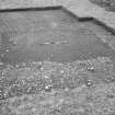 On-line Digital Images