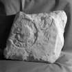 View of fragment of Pictish symbol stone from Walton.
 
