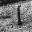 On-line Digital Images