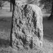 View of face of the Logie Elphinstone Pictish symbol stone no.3.