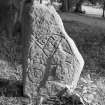 View of face of the Logie Elphinstone Pictish symbol stone no.1.