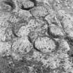 On-line Digital Images On-line Digital Images