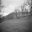 Purvis Hill cultivation terraces.