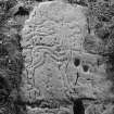 Detail of stag carved on a rock face, possibly Pictish, at Eggerness, Garlieston.