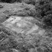 View of carved rock face with cup and ring marks at Eggerness, Garlieston.