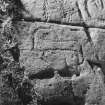 Detail of carved rock face at Eggerness, Garlieston.