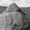 General view of cross incised stone on Balharvie Moss, West Lomond.