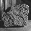 View of face of Pictish Symbol stone fragment from Kintradwell, now in Dunrobin Museum.