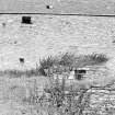 On-line Digital Images