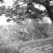 On-line Digital Images
