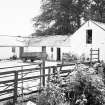 View of W range of courtyard steading from N.