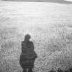 Distant view.