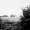 On-line Digital Images