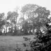 Distant view of mausoleum in the midst of trees