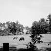 Distant view of house