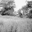 Distant view of icehouse through foliage