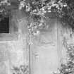 Malleny Estate, Scott Burial Vault, Mausoleum.
Detail of door overhung with ivy.