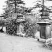 Craigpark 
Detail of gatepiers now on terrace