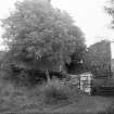 Old Kilbride Kirk.
View of burial ground.