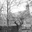 General view from W.
