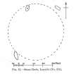 Publication drawing; plan of 'Stone Circle, Learable' with cup and ring marked stone.