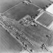 Oblique aerial view centred on the farmhouse and steading with the remains of the plantation adjacent, taken from the W