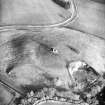 Oblique aerial photograph centred on tower and fort from W.