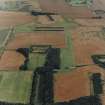 Oblique aerial view centred on the cropmarks of the garden, taken from the NW.