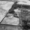 Bavelaw Castle, Fortified House and enclosures; cultivation remains.
Aerial view from East.
