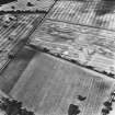 Mains of Glamis, oblique aerial view, taken from the SSE, showing the cropmarks of a round, and square, enclosures in the top left-hand corner, and further cropmarks across the photograph.