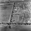 Mains of Glamis, oblique aerial view, taken from the ENE, showing the cropmarks of a possible enclosure in the bottom centre, a circular enclsoure in the top right-hand corner, and further cropmarks across the rest of the photograph.