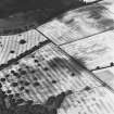 Mains of Glamis, oblique aerial view, taken from the SSW, showing the cropmarks of a round, and square, enclosures in the centre, and further cropmarks across the rest of the photograph.