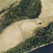 Dunkeld, Dunkeld New Palace.
Aerial photograph with cropmarks on site of New Palace.