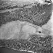 Dunkeld, Dunkeld New Palace.
Aerial view of cropmarks on site of New Palace.