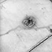 Oblique aerial view centred on the remains of the possible broch and plantation wall, taken from the SW.