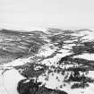 Oblique aerial view of Guisachan, taken from the S.