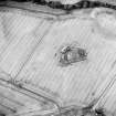 Oblique aerial view centred on the plantation bank with cropmarks of the possible barrow, barrow cemetery and enclosure adjacent, taken from the SSW.