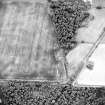 Oblique aerial view centred on the cropmarks, taken from the ENE.