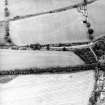 Oblique aerial view centred on the cropmarks, taken from the NW.