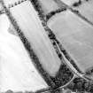 Oblique aerial view centred on the cropmarks, taken from the WSW.