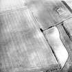 Scaniport Wood, oblique aerial view, taken from the NE, centred on the cropmarks of a palisaded enclosure and round house.