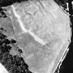 Laggan Burn, oblique aerial view, taken from the E, centred on the cropmarks of an enclosure.