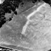 Laggan Burn, oblique aerial view, taken from the NNE, centred on the cropmarks of an enclosure.